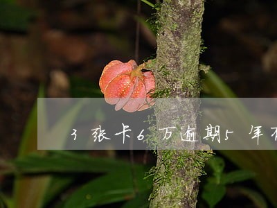3张卡6万逾期5年有什么后果