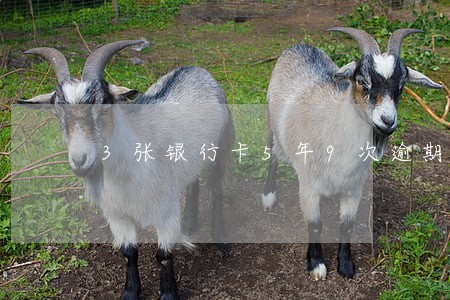 3张银行卡5年9次逾期