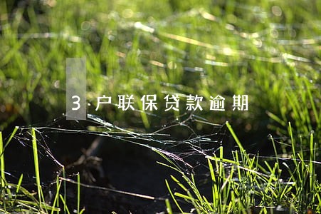 3户联保贷款逾期 3户联保贷款逾期