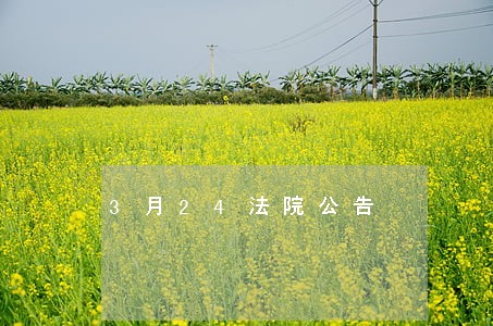 3月24法院公告