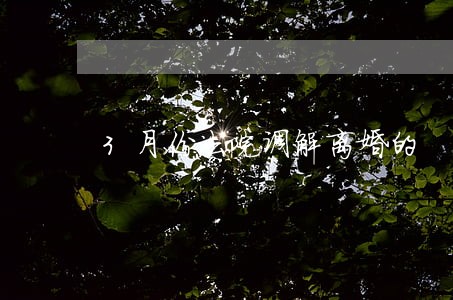 3月份法院调解离婚的 3月份法院调解离婚的