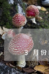 3月份网贷逾期率 3月份网贷逾期率