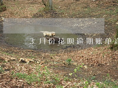 3月份花呗逾期账单高清图片 3月份花呗逾期账单高清图片