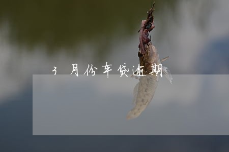 3月份车贷逾期 3月份车贷逾期