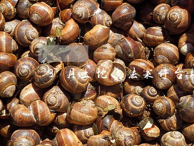 3月土地违法案件台账 3月土地违法案件台账