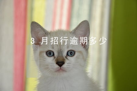3月招行逾期多少 3月招行逾期多少