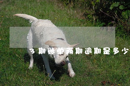 3期账单两期逾期是多少天 3期账单两期逾期是多少天