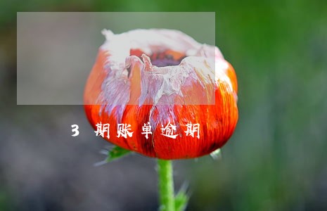3期账单逾期 3期账单逾期