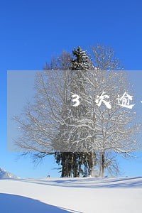 3次逾期记录影响房贷吗 3次逾期记录影响房贷吗