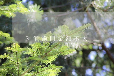 3笔逾期金额不大 3笔逾期金额不大