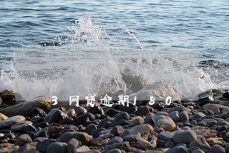 3网贷逾期180 3网贷逾期180