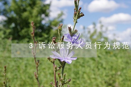 3诉讼服务人员行为规范 3诉讼服务人员行为规范