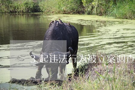 3起违法行为被立案调查