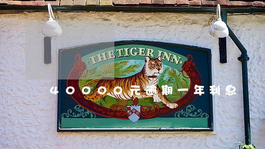 40000元逾期一年利息 40000元逾期一年利息