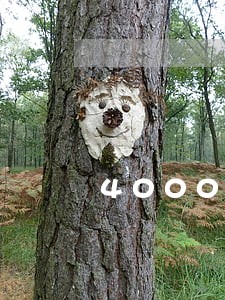4000元逾期一年多少利息 4000元逾期一年多少利息