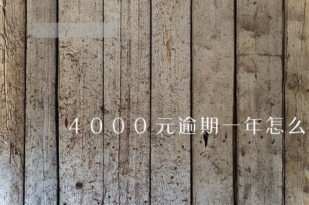 4000元逾期一年怎么办 4000元逾期一年怎么办