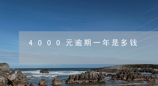 4000元逾期一年是多钱