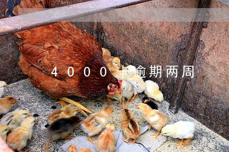 4000卡逾期两周