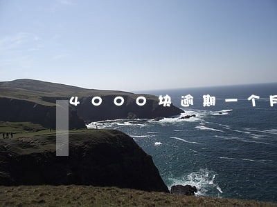 4000块逾期一个月