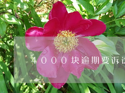 4000块逾期要诉讼