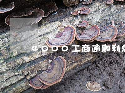 4000工商逾期利息一天多少