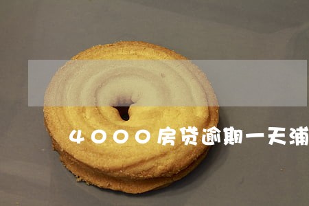 4000房贷逾期一天浦发