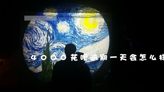 4000花呗逾期一天会怎么样