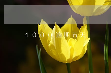 4000逾期五天