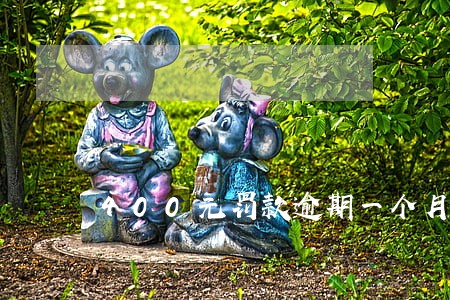 400元罚款逾期一个月 400元罚款逾期一个月