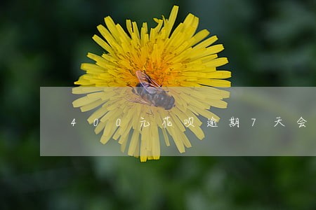 400元花呗逾期7天会被投诉吗