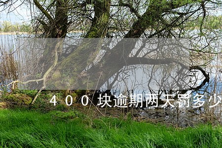 400块逾期两天罚多少 400块逾期两天罚多少