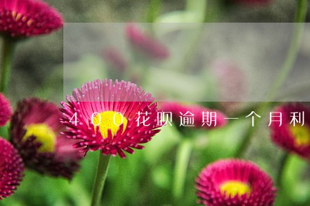 400花呗逾期一个月利息多少