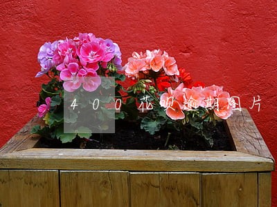 400花呗逾期图片 400花呗逾期图片