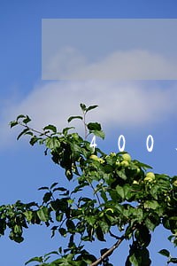 400额度花呗逾期4个月还多少 400额度花呗逾期4个月还多少