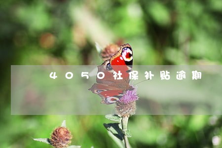 4050社保补贴逾期
