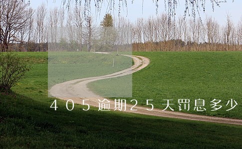 405逾期25天罚息多少 405逾期25天罚息多少