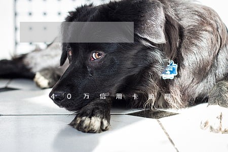 40万信用卡逾期