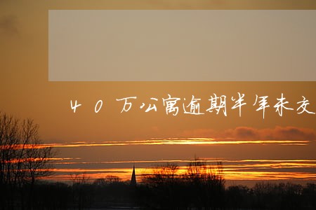 40万公寓逾期半年未交付
