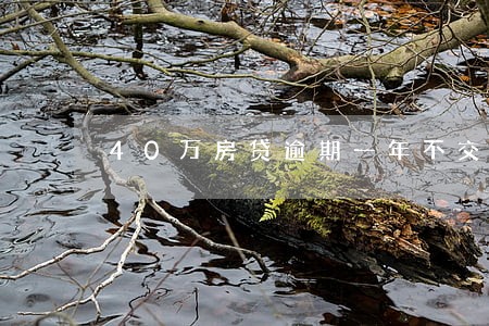 40万房贷逾期一年不交
