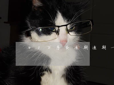 40万房贷逾期逾期一天多少钱 40万房贷逾期逾期一天多少钱