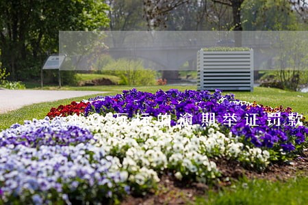 40万标的逾期举证罚款数额 40万标的逾期举证罚款数额