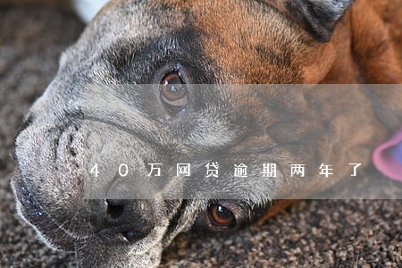 40万网贷逾期两年了 40万网贷逾期两年了
