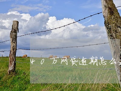 40万网贷逾期怎么办