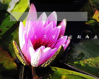 40万贷款逾期两次征信 40万贷款逾期两次征信