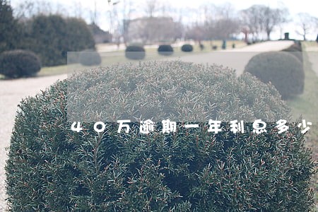 40万逾期一年利息多少钱 40万逾期一年利息多少钱