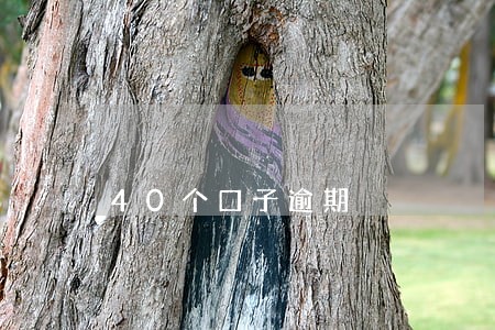 40个口子逾期 40个口子逾期