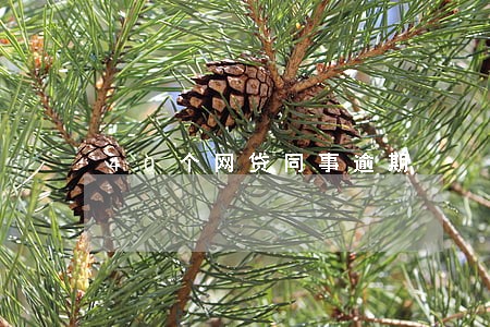 40个网贷同事逾期 40个网贷同事逾期