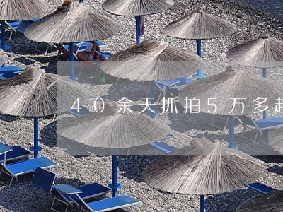 40余天抓拍5万多起交通违法 40余天抓拍5万多起交通违法