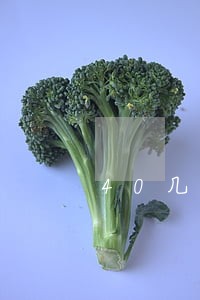 40几岁离婚两次的女人 40几岁离婚两次的女人