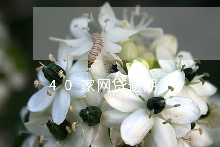 40家网贷逾期 40家网贷逾期